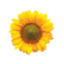 njsharingnetwork.org