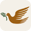 olivebranchms.com