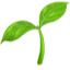 permapeople.org