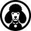 poodleplugins.com