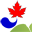 vkhc.com