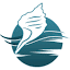 beachretreatcoolum.com