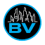 beyondrobson.com