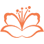 bocawestcc.org