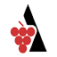 cervim.org