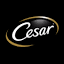 cesar.ru
