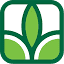 daleysturf.com.au