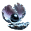 draelaine.com