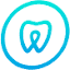 exper.co.il