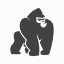 gorillatrips.net