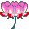 magicwish.ru