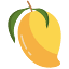 mango-iptv.net