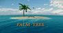 palmtreefilm.com