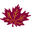 shady-maple.com