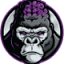 wealthygorilla.com