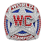 worldchampionnetwork.com