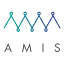 amis.com