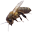 bienentherapie.ch