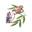 elderberryplacemarket.com