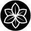 lamorindajiujitsu.com