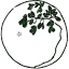 lastelladelmattino.org