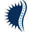 orthopedicandlaserspinesurgery.com