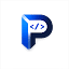 precisionwebdev.com