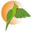 science-accueil.org