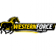 westernforce.com.au