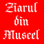 ziaruldinmuscel.ro