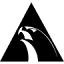 allianceofficial.com