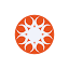 alligatorenergy.com.au