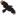 anncleeves.com