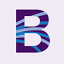 borealisphilanthropy.org
