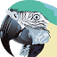 crazyara.org