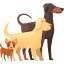 dogweb.nl