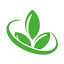 flora-tomsk.ru