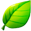 mirtabaka.net