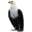 northwamac.com