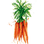nutricionistanoporto.pt