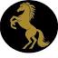 sunn-hest.no