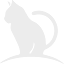 bycat.one