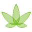cannabis-nb.com