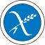 coeliac.org.nz