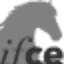 infochevaux.ifce.fr
