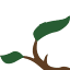 plantpono.org