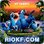 riokfa.com