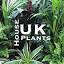 ukhouseplants.com