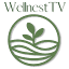 wellnest.tv