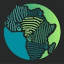 avmi-africa.org